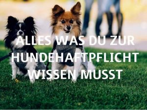 Alles zur Hundehaftpflichtversicherung