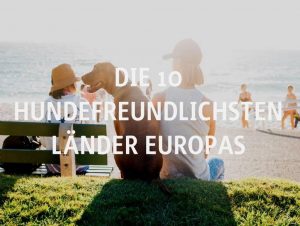 Die 10 hundefreundlichsten Länder Europas