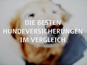 Die besten Hundeversicherungen im Vergleich